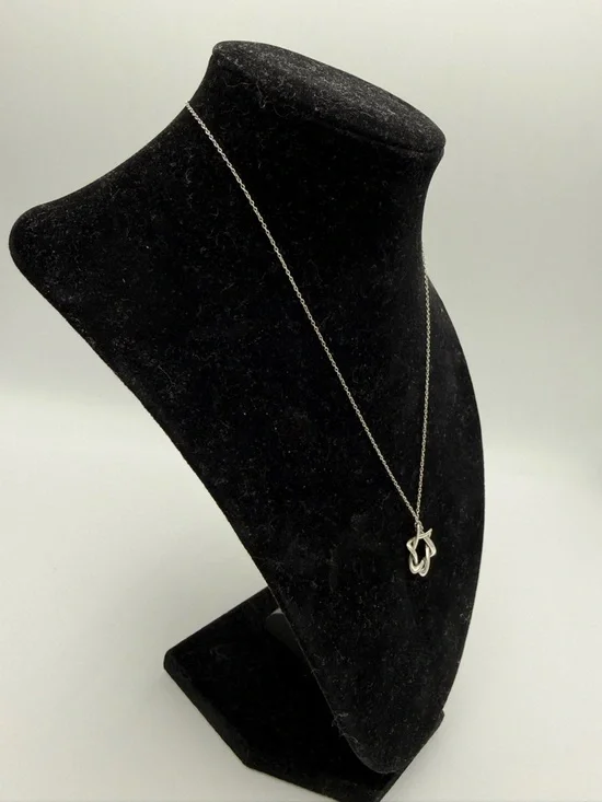 TIFFANY&Co. Tiffany Elsa Peretti Star of David Necklace/Chain Sterling Silver - Picture 4 of 10